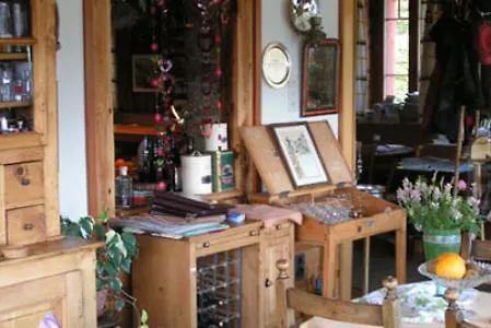 贝尔维德里瑞士洛奇酒店 酒店